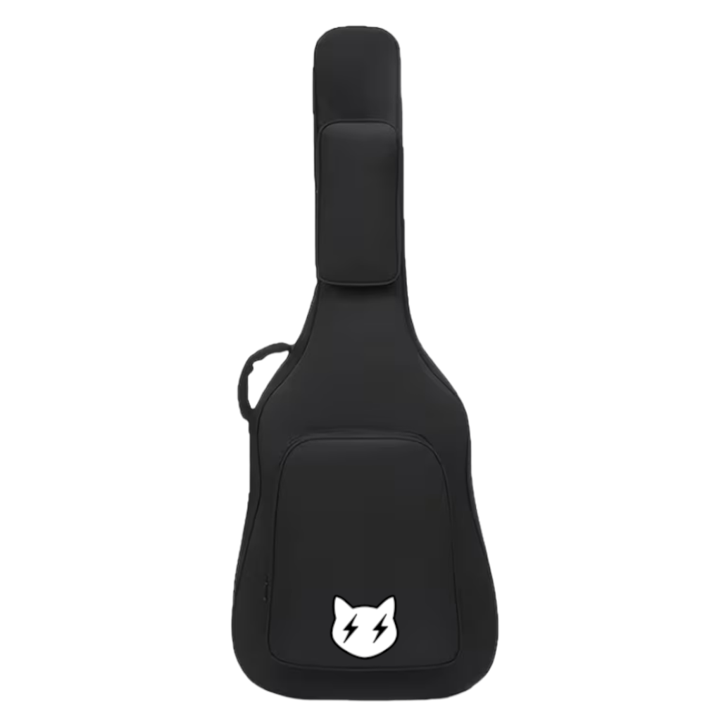 Big Cat Audio Acoustic Guitar Case